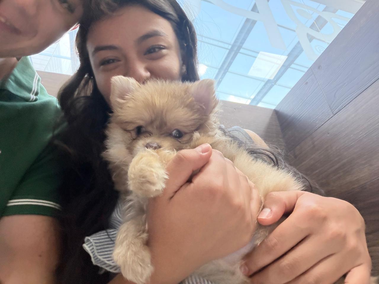 Tu cumple — con el perrito